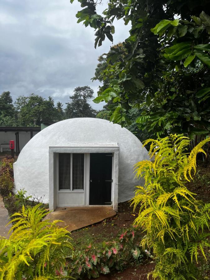 Camp Taveuni Hostel Matei Exterior foto